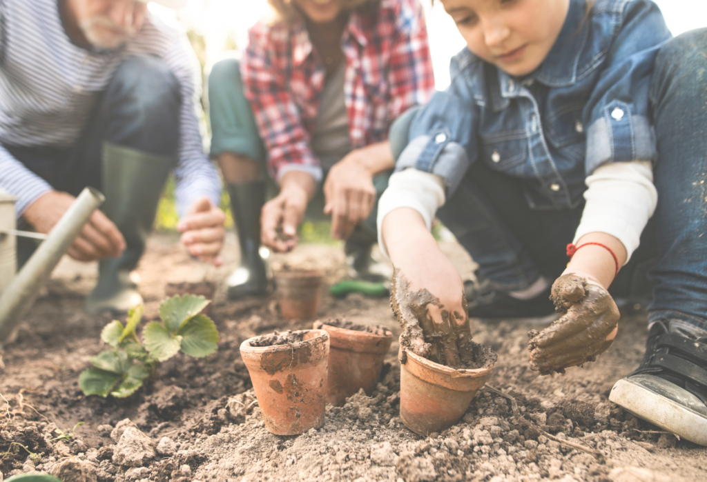 activités botaniques jardins o petit bonheur