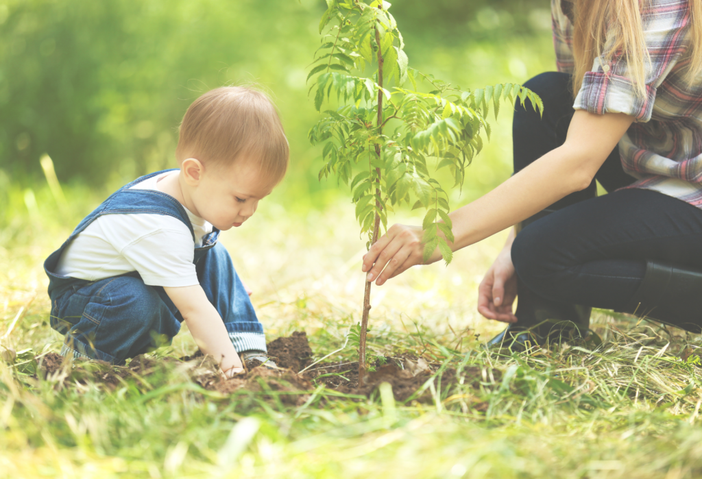 Démarche bio & naturelle demarche biologique et naturelle o petit bonheur