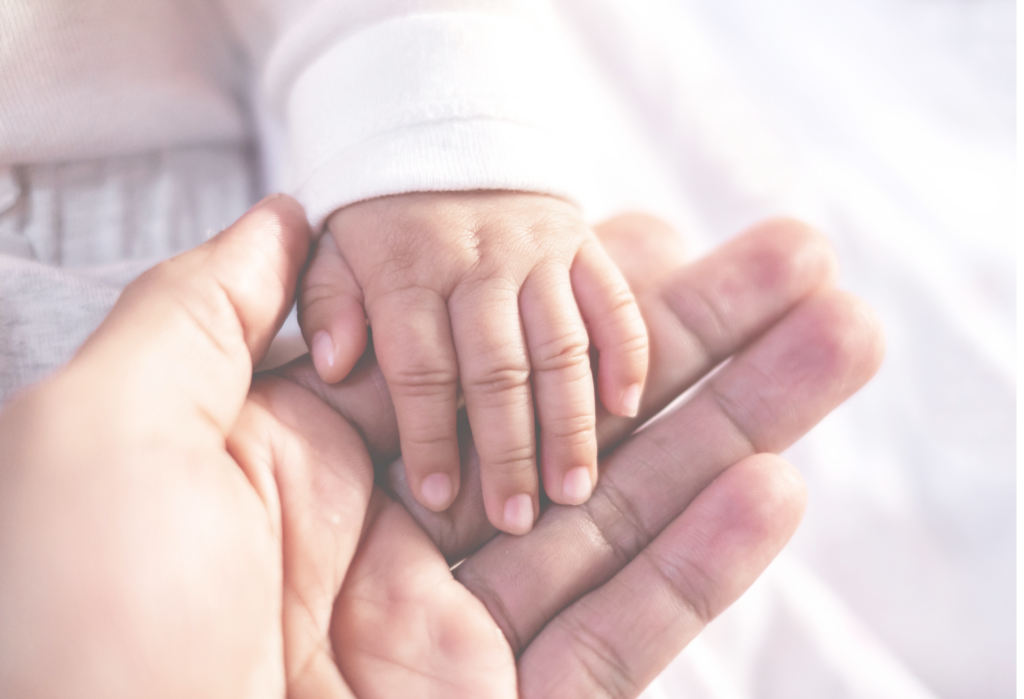 Projet éducatif & pédagogique main bébé adulte o petit bonheur